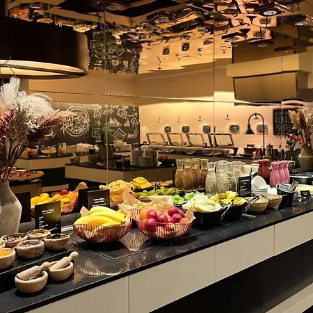 里加伊丽莎白丽笙布鲁酒店 里加