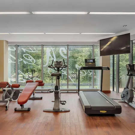 Radisson Blu Elizabete Hotel, Hotel